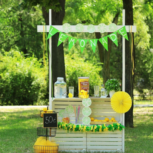 Global Basics Country Time Pink Lemonade Powdered Drink Mix | 1 Canister, 82.5 oz | Includes An Easy Scoop Measuring Cup!