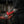 Milwaukee Electric Tool 48-22-7114 14